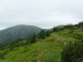 P1300120.jpg