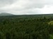 P1300250.jpg