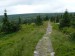 P1300251.jpg