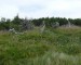 P1300451.jpg