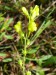 P1340942