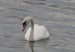 P1350190