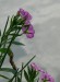 P1460520