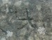P1460772
