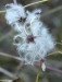 P1370877