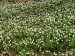P1020133
