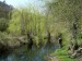 P1080420.jpg