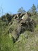 P1080460.jpg