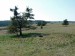 P1080475.jpg
