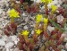P1110904.jpg