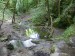 P1120143.jpg