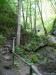 P1120154.jpg
