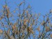 P1220109.jpg