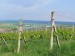 P1250440.jpg