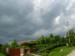 P1250466.jpg